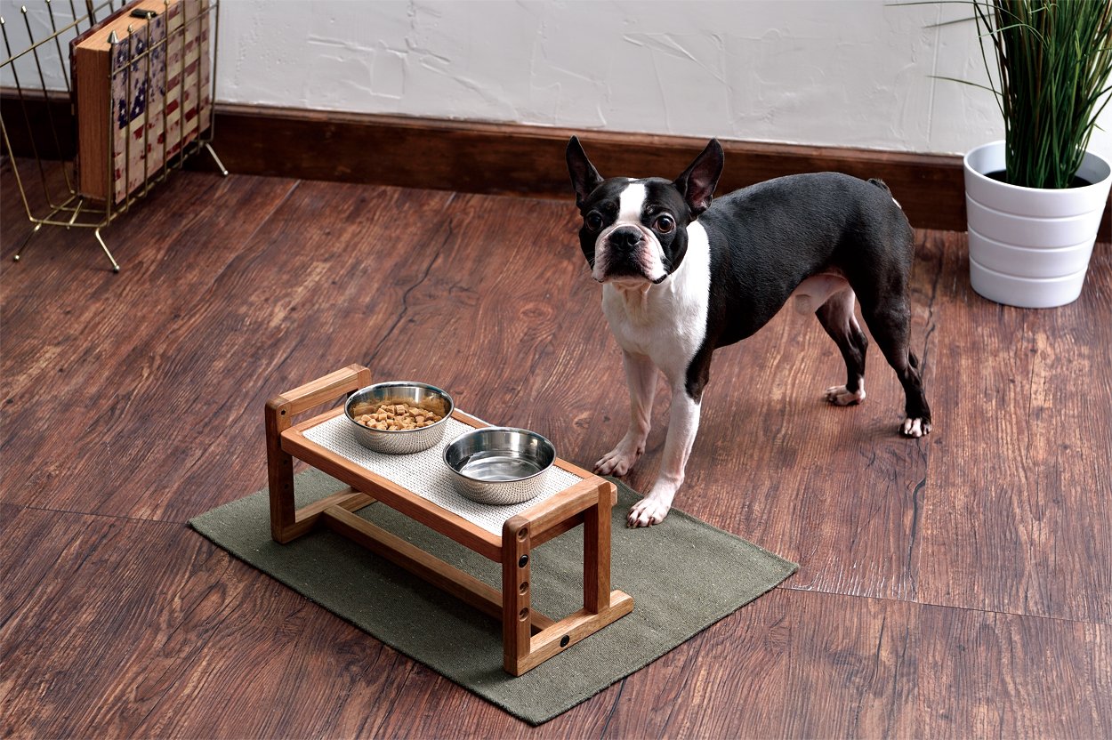 Amazon | ペティオ (Petio) ポルタ ウッディドッグテーブル 犬用